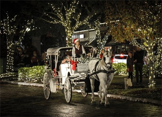 a person driving a white carriage being pulled by a white horse through downtown winter garden