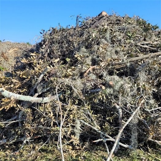 Large Pile of tree and brand Debris