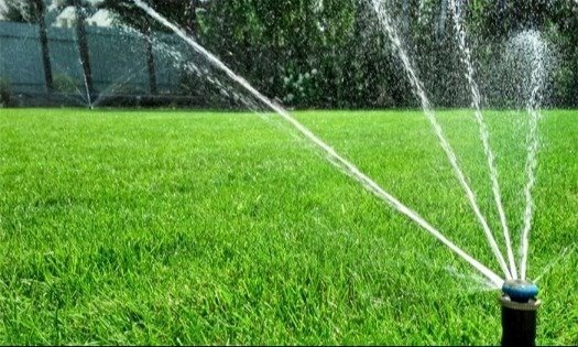 lawn sprinkler spraying water