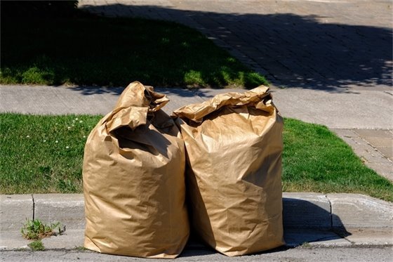 Two yard waste bags filled curbside