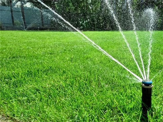 Sprinkler Watering Grass 