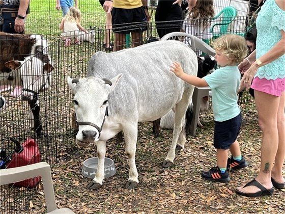 Farm Day at the Farmers Market 