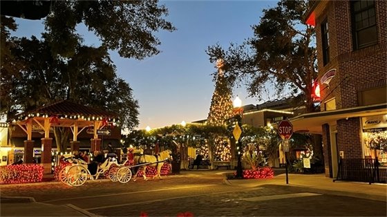 Photo of Horse Drawn Carriage 