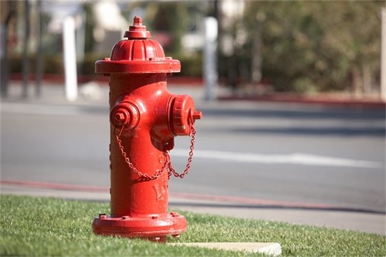 Red Fire Hydrant in Grass
